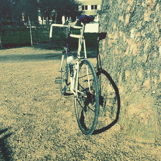 RIH Elan Rennrad 2015