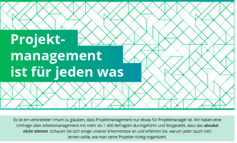 Jeder ist ein Projektmanager, aber nicht jeder kann Projekte managen
