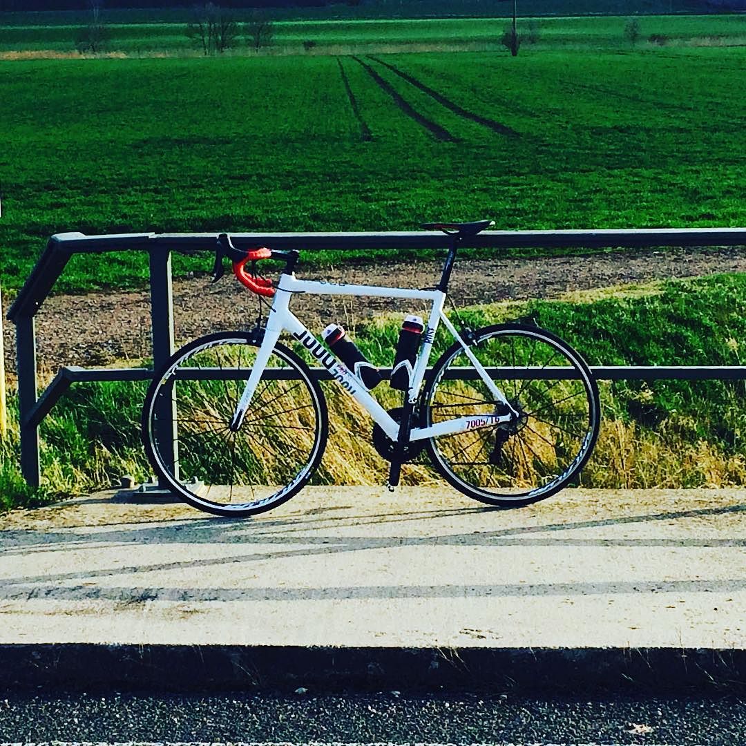 17661911_441842339495012_6801314977912193024_n