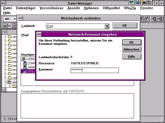 Original Screenshot: Win 3.11 with Samba Share Dateimanager