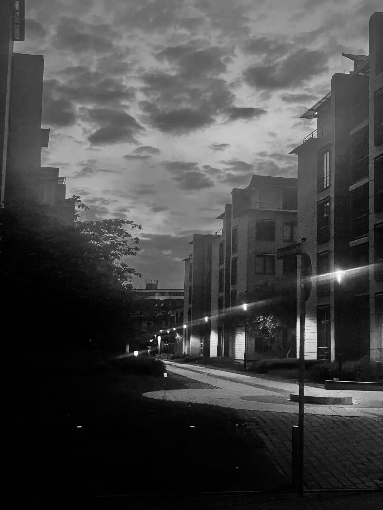 Ein Schwarzweiß Foto, man sieht Straßenlaternen die den Weg säumen und Gebäude, es ist Gloomy. (C) Herr Montag.