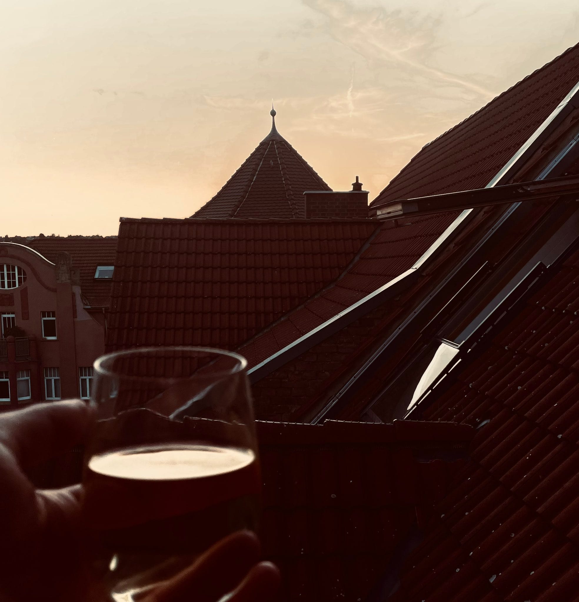 Herr Montag hält ein Glas Weißwein in der Hand, im Hintergrund sieht man Häuser, Dächer und den Abendhimmel. (C) Herr Montag.