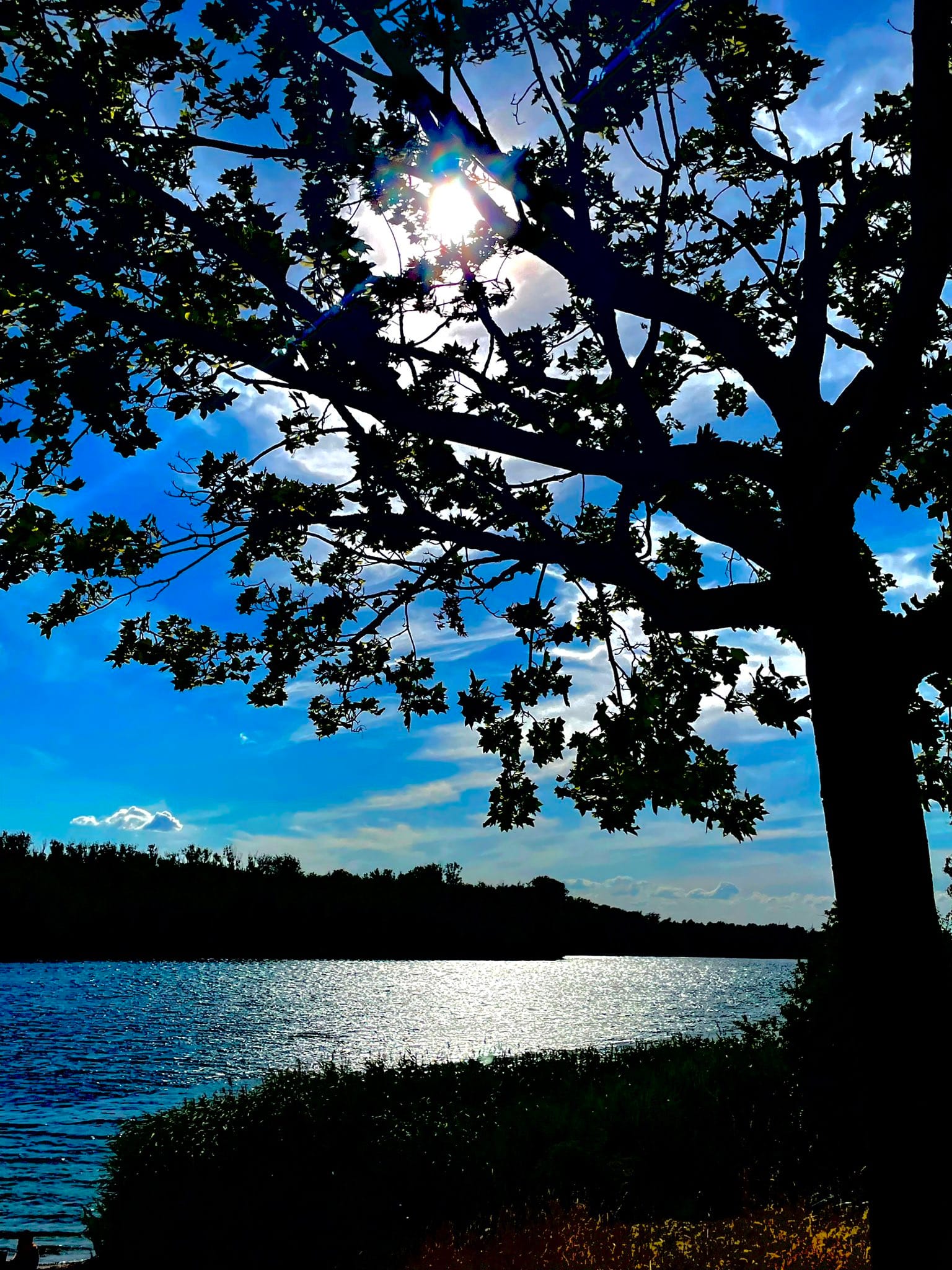 Ein See. Die Sonne leuchtet durch Bäume. (C) Herr Montag.