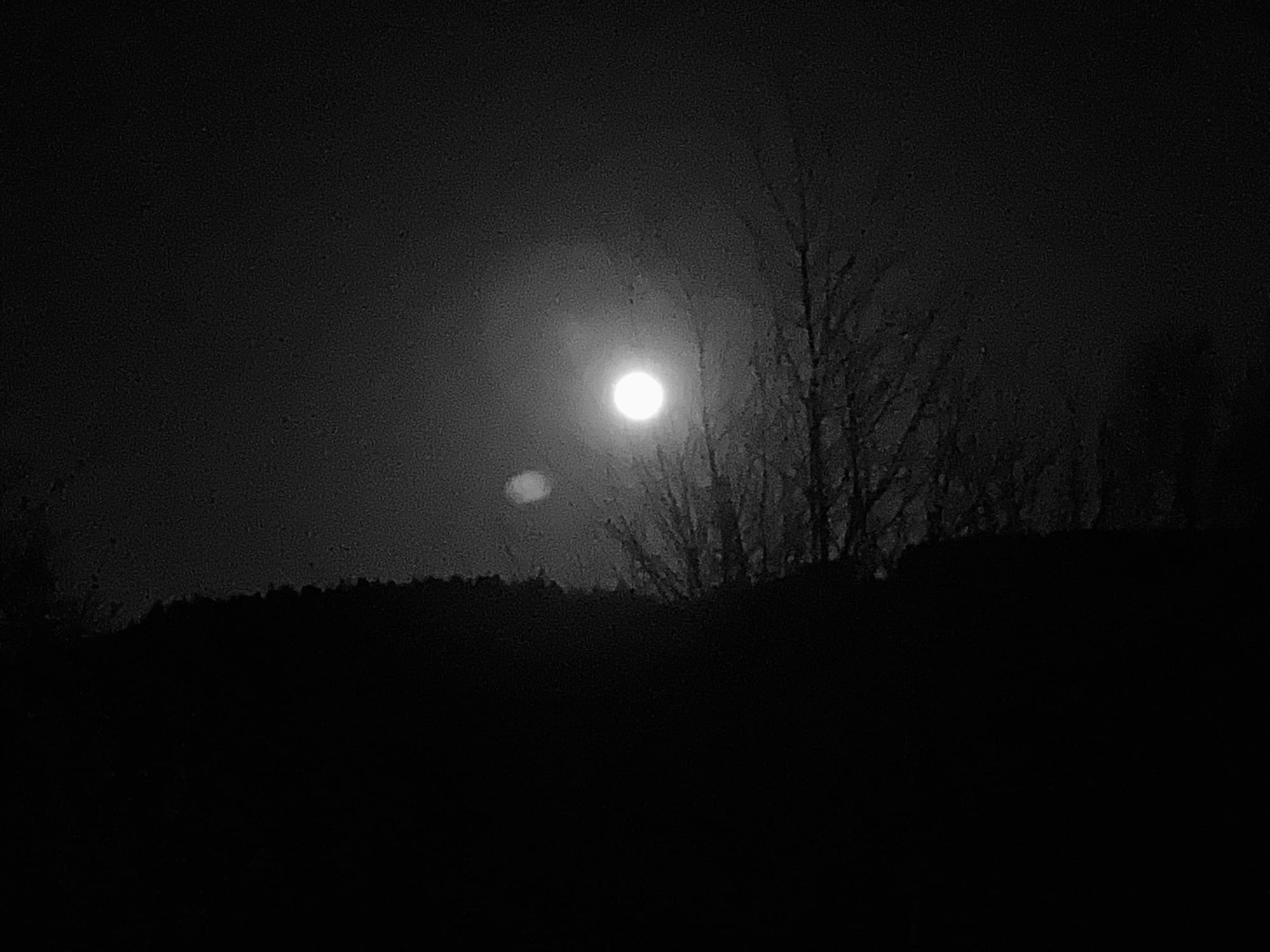 Ein schöner Nachtmond scheint durch Baumwipfel, das Foto ist schwarz-weiß und sehr düster.