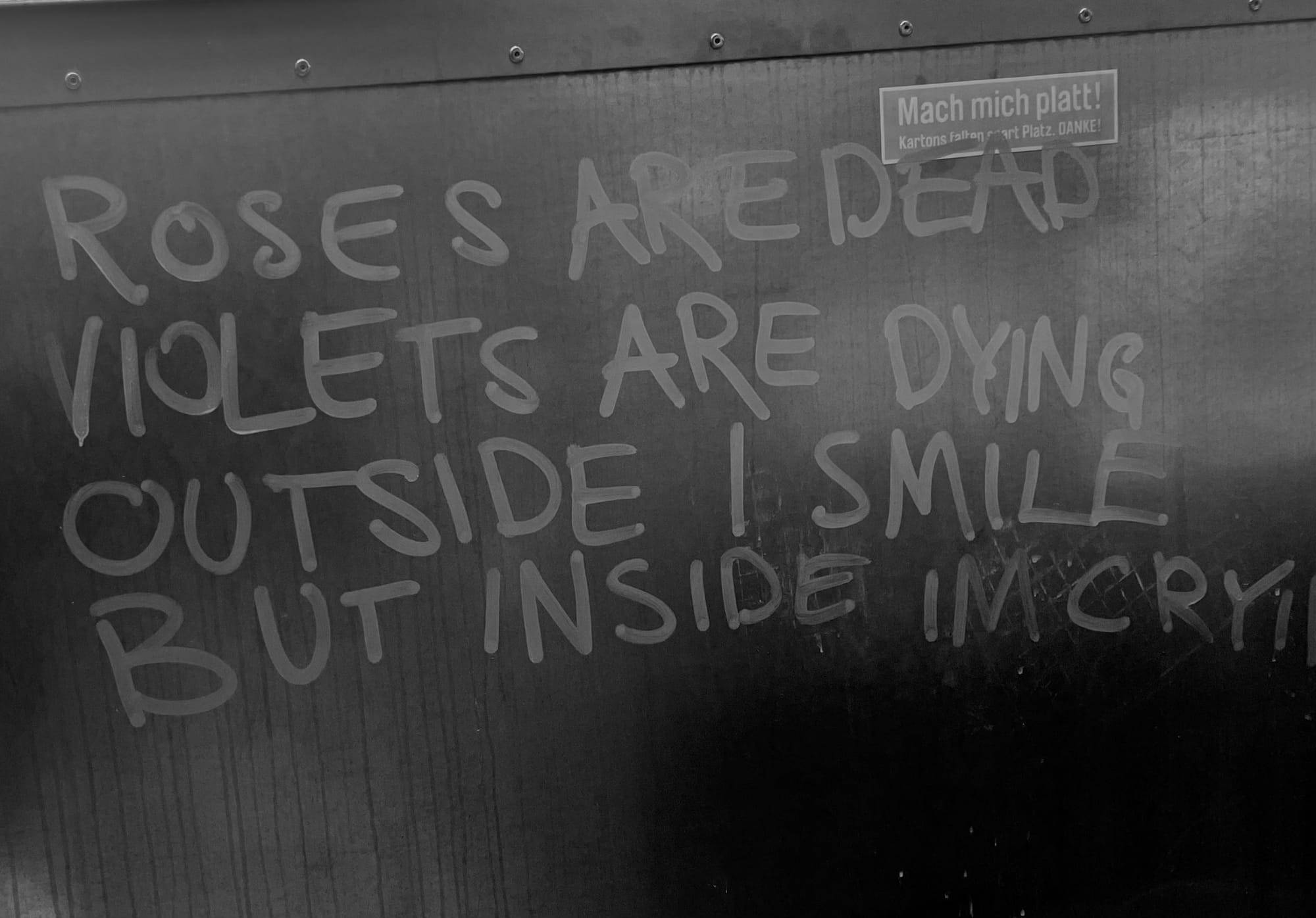 An einem Container steht: Roses are dead Violets are dying Outside I smile But inside I‘m crying