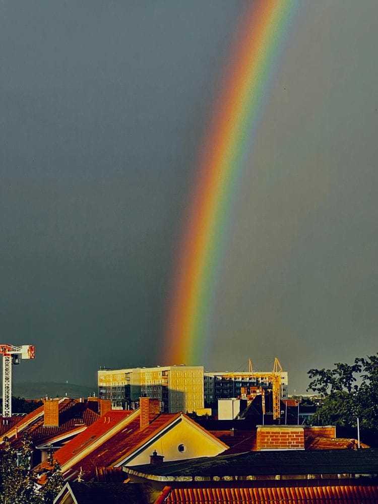 Ein Regenbogen über der Stadt, unten sieht man Häuser und Kräne, der Himmel ist durch den Regenbogen geteilt in hell und dunkel.