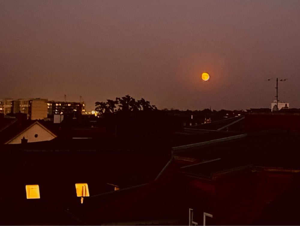 Der Vollmond steht über der Stadt, links leuchten zwei Dachfenster, ein paar Bäume.