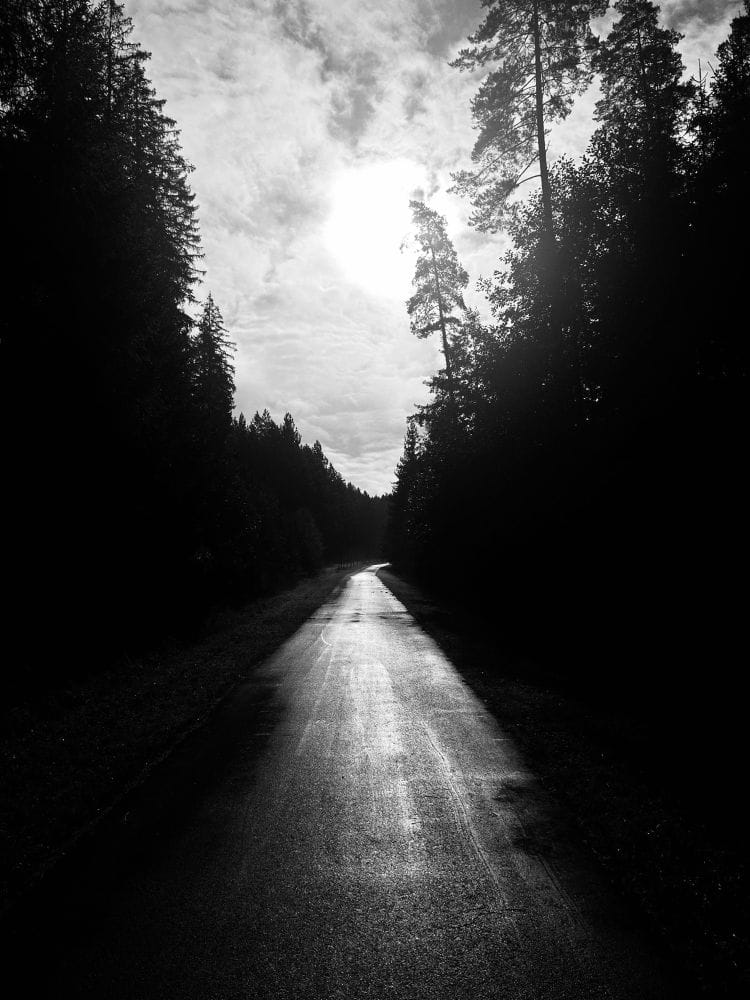 Ein Radweg durch den Wald. Es ist dunkel gehalten. Die Sonne scheint (C) Herr Montag