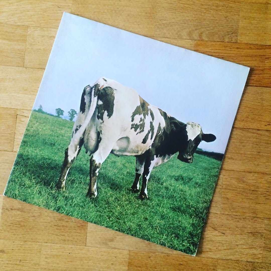 Das Cover des Albums Atom Heart Mother von Pink Floyd. Es zeigt eine Kuh auf einer grünen Wiese, von hinten. Du Kuh schaut zurück in die Kamera. Der Himmel ist blau. 