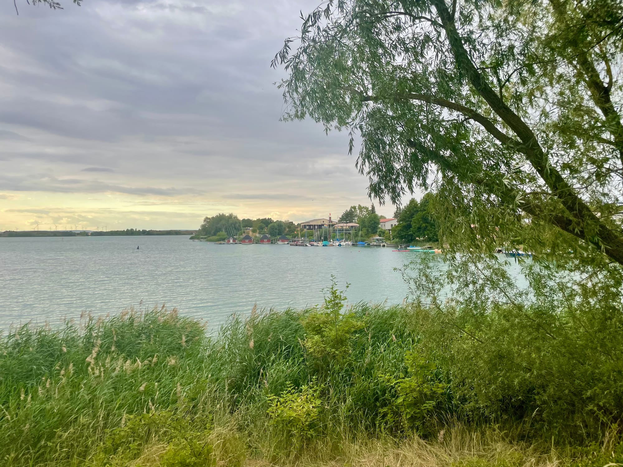 IMG_1650.jpeg