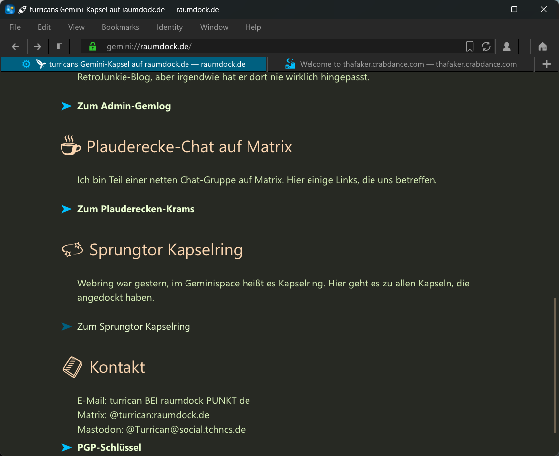 LaGrange Browser unter Windows mit zwei Tabs, Raumdock.de