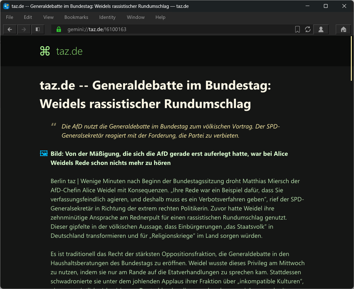 Die taz im gemini-space - ein Artikel "Generaldebatte im Bundestag: Weidels rassistischer Rundumschlag" ist geöffnet.