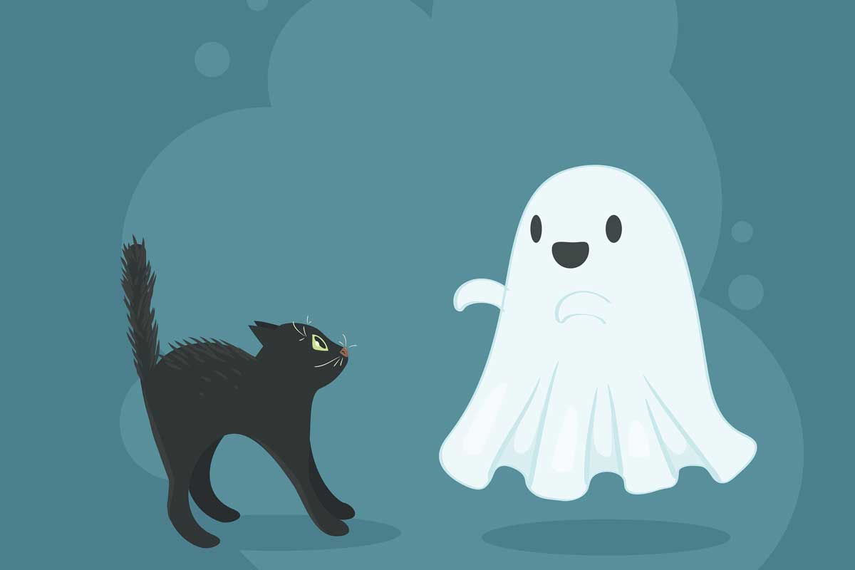 [HOW TO] Update Ghost 0.11.X Uberspace