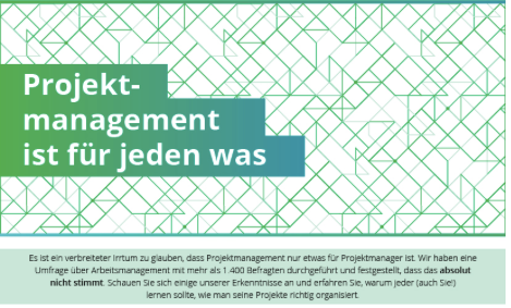Jeder ist ein Projektmanager, aber nicht jeder kann Projekte managen