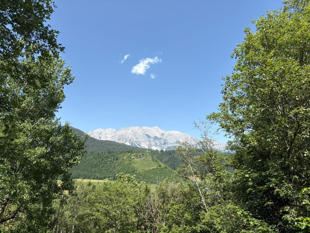 Der Dachstein in Österreich am Horizont, fotografiert durch ein paar Bäume hindurch.