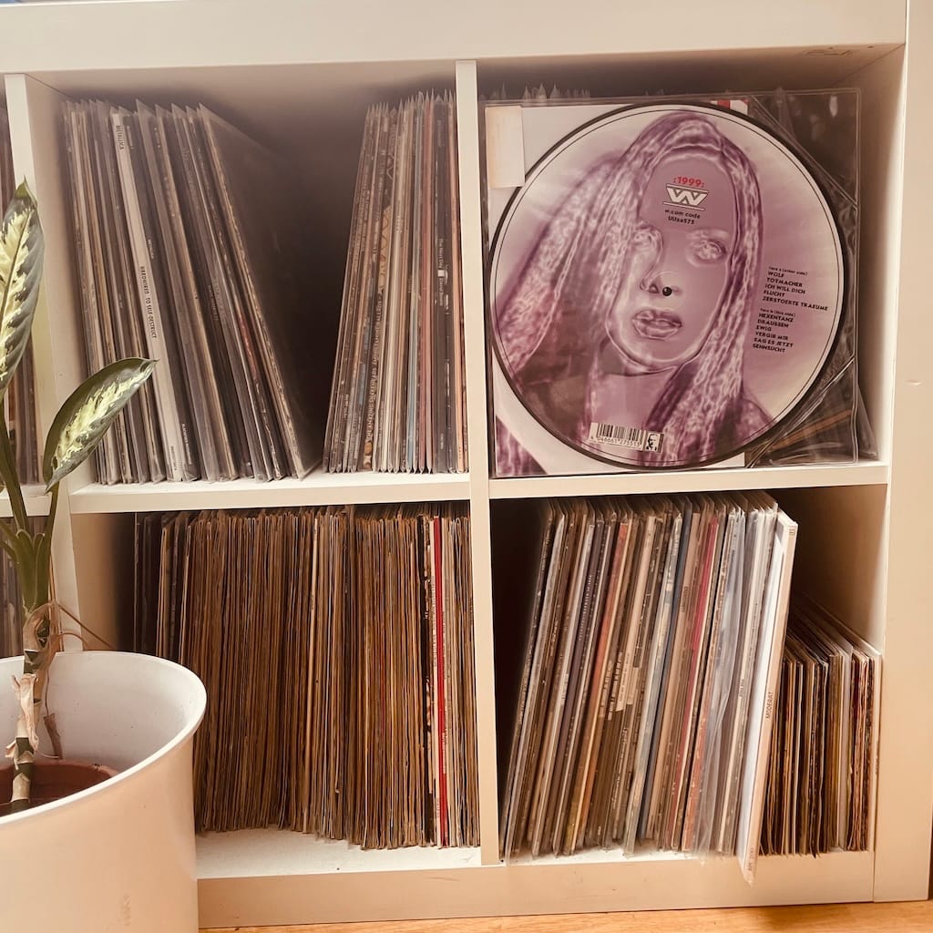 Wumpscut Picture Vinyl im Plattenregal (C) Herr Montag