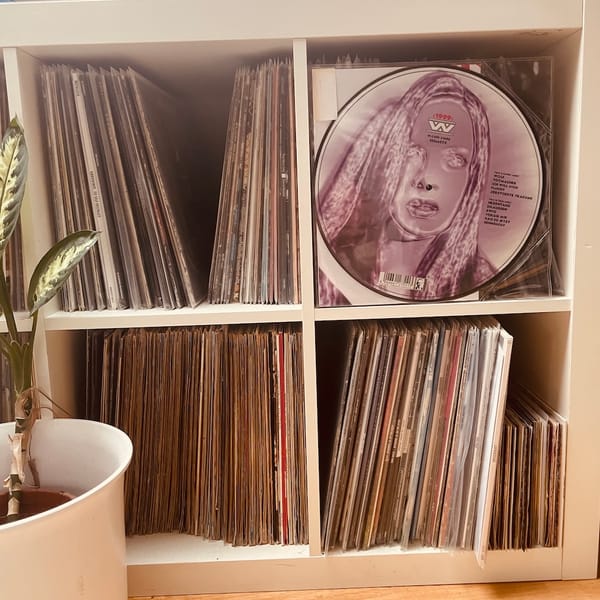 Wumpscut Picture Vinyl im Plattenregal (C) Herr Montag