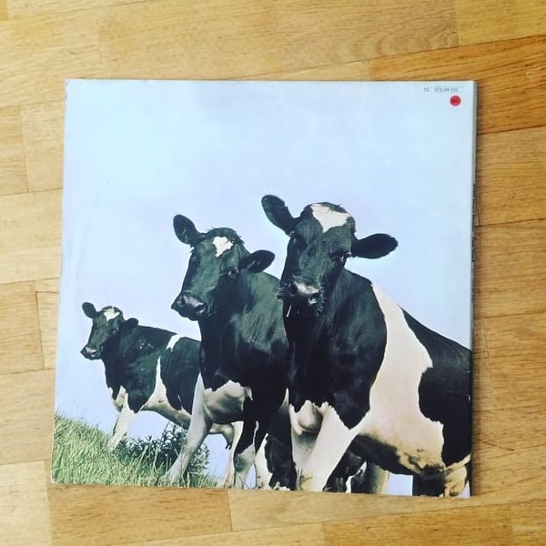 Vinyl Atom Heart Mother from Pink Floyd on a table (C) Herr Montag