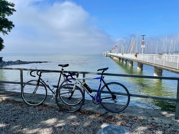 Zwei Rennräder, im Hintergrund ein Steg und der Bodensee.