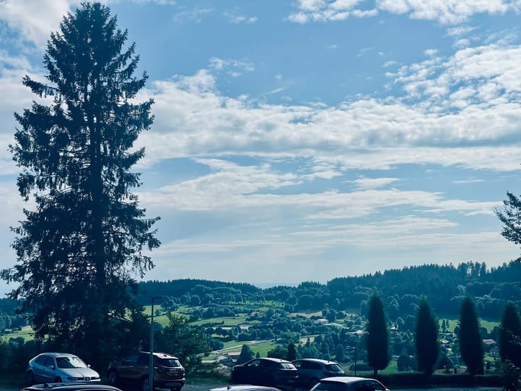 Sommerabenteuer zwischen Salz, Seen und Wäldern