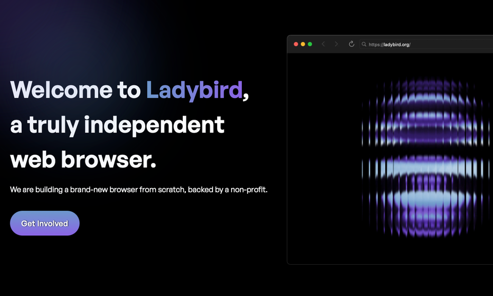 Browser und ihre Vielfalt - Es wird kritisch!