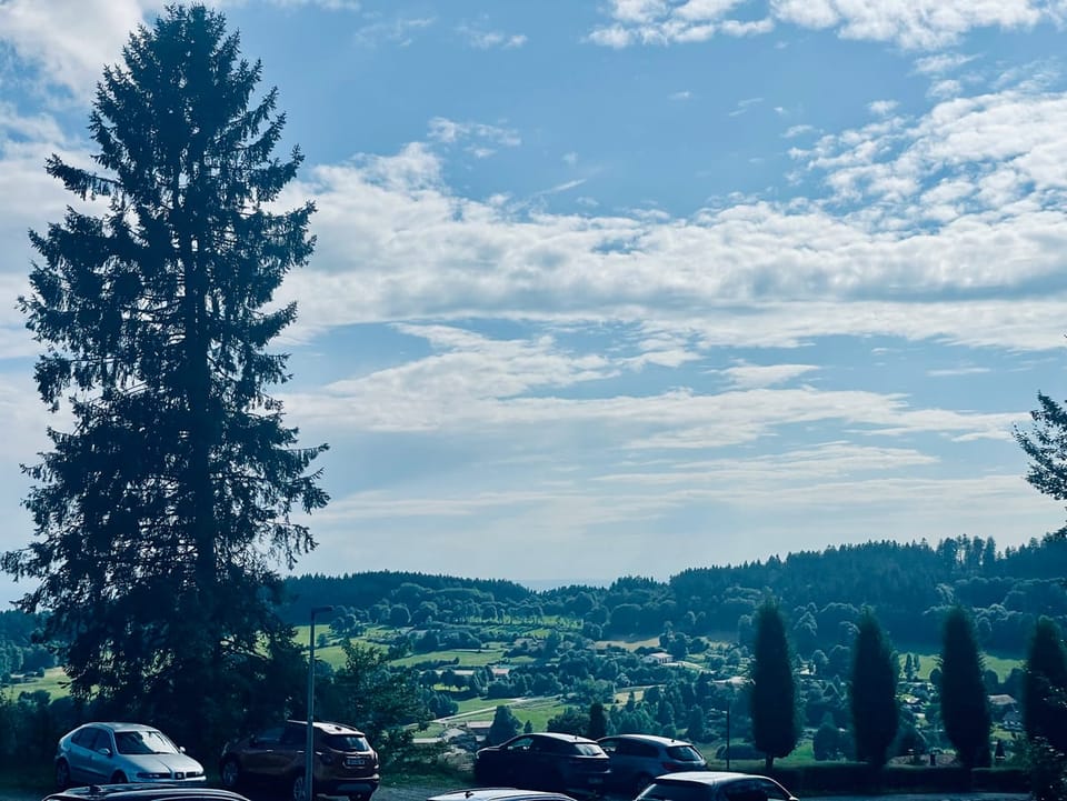 Blick auf Sankt Englmar